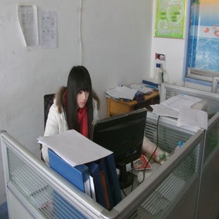青島職業(yè)技術(shù)學院軟件與服務外包學院 軟件外包服務的產(chǎn)教融合典范